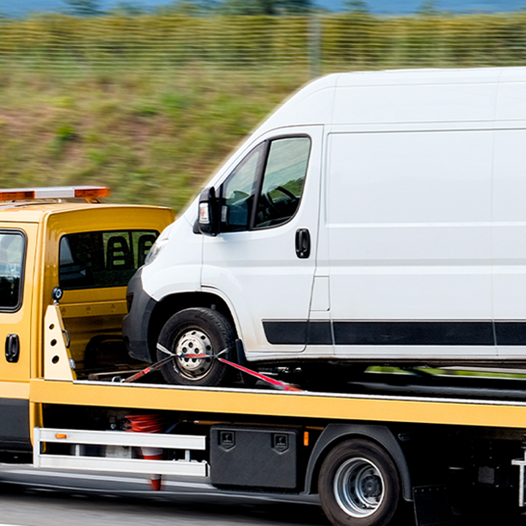 Boxer 8-Point Roll Back Vehicle Tie-Down Kit with G70 Chain Extensions - Set of 4