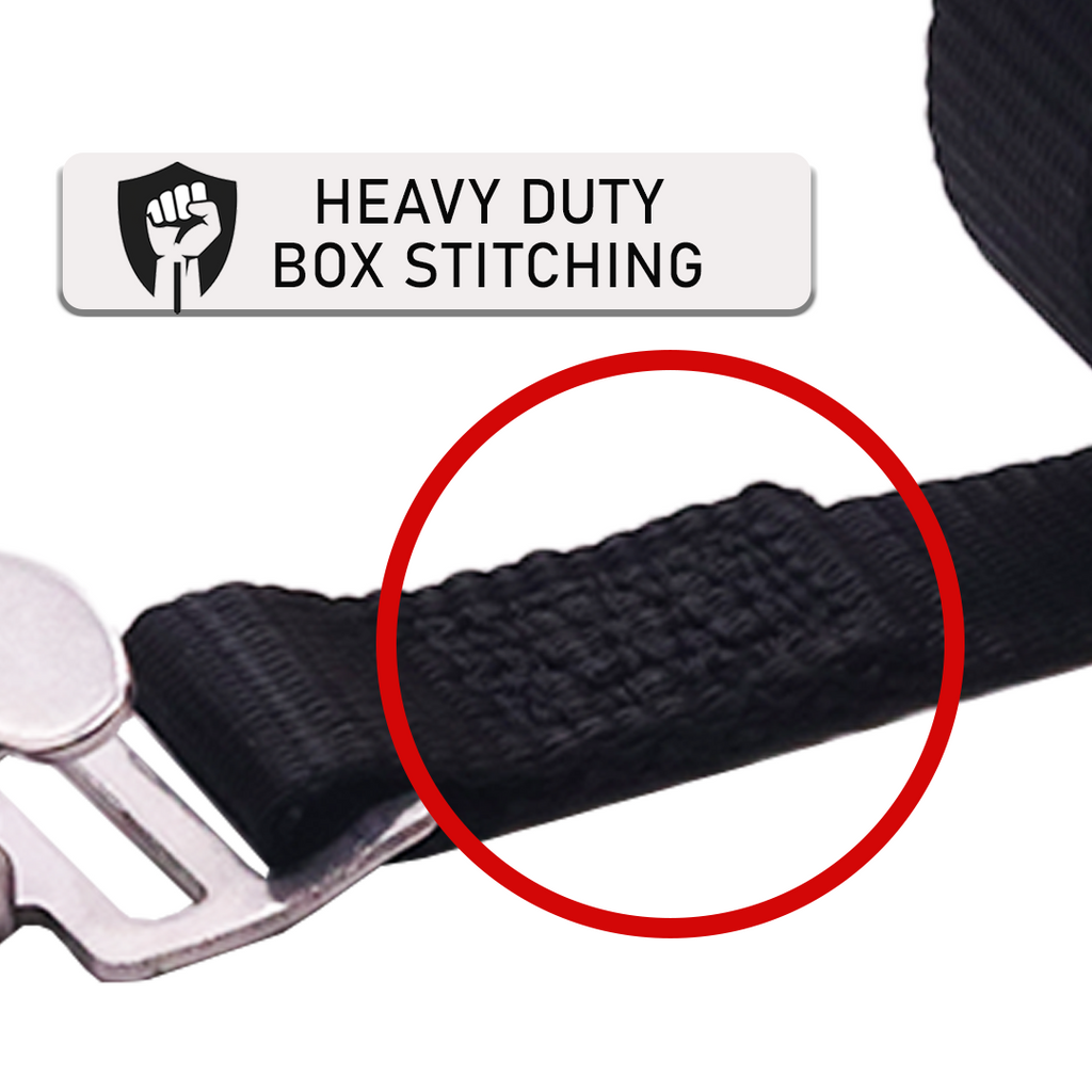 1" x 6' Endless Utility Tie-Down with a Stainless Steel Alligator Buckle