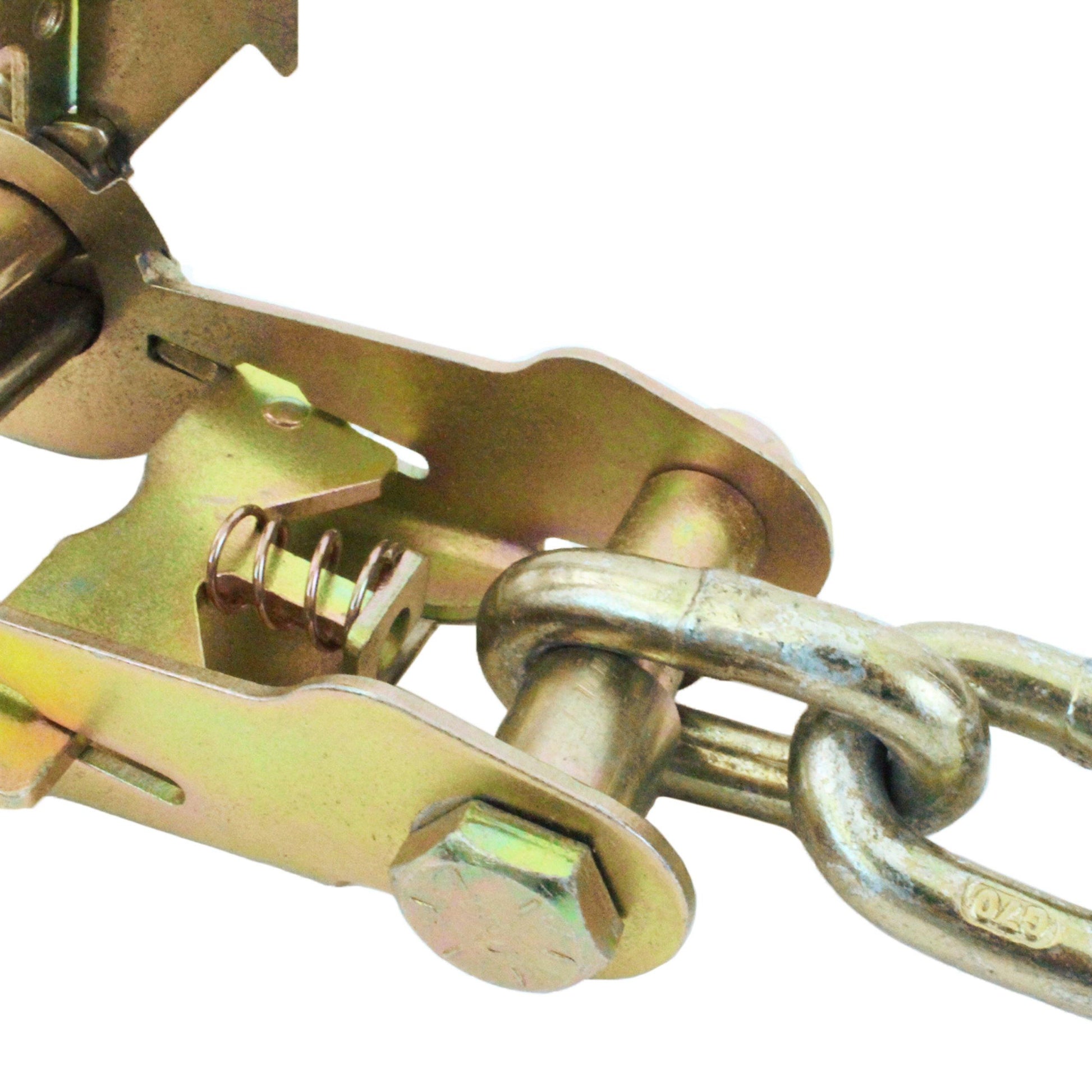 Double Locking Ratchet with Chain and Clevis Grab Hook - Boxer Tools